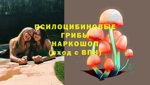 винт Приозерск