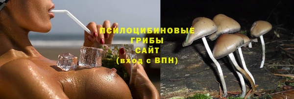 MDMA Протвино