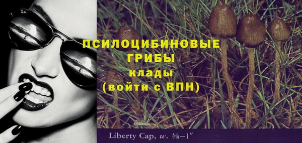 амфетамин Покров